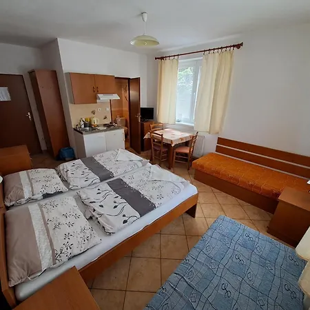 Ubytovanie Astra Vendégház