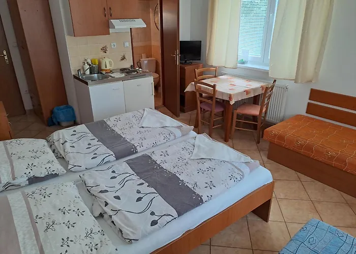 Casa de hóspedes Astra 3*